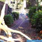 drouwenerzand-15-10-2021-032.jpg