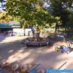 drouwenerzand-15-10-2021-043.jpg