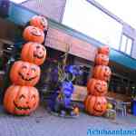 drouwenerzand-15-10-2021-059.jpg