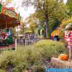 drouwenerzand-18-10-2021-033.jpg