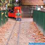 drouwenerzand-18-10-2021-043.jpg