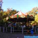 drouwenerzand-24-10-2021-003.jpg