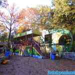drouwenerzand-24-10-2021-005.jpg