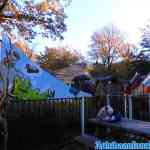 drouwenerzand-24-10-2021-006.jpg