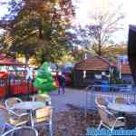 drouwenerzand-24-10-2021-019.jpg