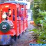 drouwenerzand-24-10-2021-061.jpg