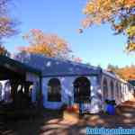 drouwenerzand-24-10-2021-071.jpg