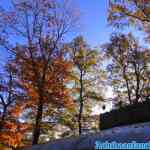 drouwenerzand-28-10-2021-002.jpg