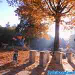 drouwenerzand-28-10-2021-004.jpg