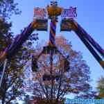 drouwenerzand-28-10-2021-011.jpg
