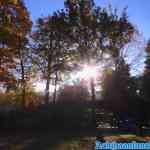 drouwenerzand-28-10-2021-014.jpg