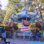 drouwenerzand-28-10-2021-016.jpg