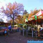 drouwenerzand-29-10-2021-025.jpg