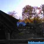 drouwenerzand-29-10-2021-039.jpg