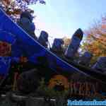 drouwenerzand-29-10-2021-046.jpg