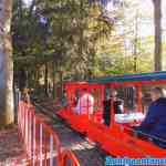 drouwenerzand-29-10-2021-048.jpg
