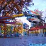 drouwenerzand-29-10-2021-050.jpg