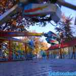 drouwenerzand-29-10-2021-052.jpg