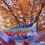 drouwenerzand-29-10-2021-053.jpg