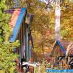 drouwenerzand-29-10-2021-056.jpg