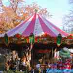 drouwenerzand-29-10-2021-068.jpg