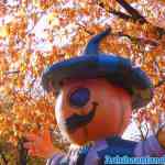 drouwenerzand-29-10-2021-074.jpg