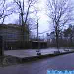 drouwenerzand-04-12-2021-032.jpg