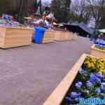 drouwenerzand-02-04-2022-123.jpg