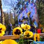 drouwenerzand-16-04-2022-004.jpg