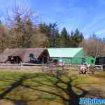 drouwenerzand-16-04-2022-030.jpg