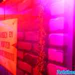 drouwenerzand-26-05-2022-014.jpg