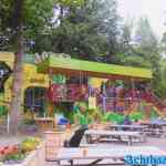 drouwenerzand-19-06-2022-009.jpg