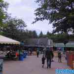 drouwenerzand-19-06-2022-042.jpg