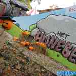 drouwenerzand-17-10-2022-043.jpg
