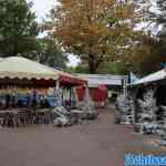 drouwenerzand-17-10-2022-060.jpg