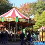 drouwenerzand-18-10-2022-064.jpg