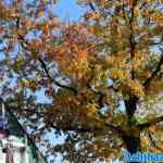 drouwenerzand-18-10-2022-123.jpg