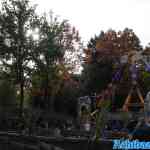 drouwenerzand-20-10-2022-048.jpg