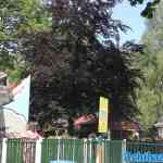 drouwenerzand-17-06-2023-053.jpg