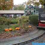 drouwenerzand-26-10-2023-067.jpg