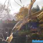 drouwenerzand-27-10-2024-050.jpg