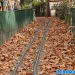 drouwenerzand-27-10-2024-060.jpg