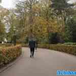 efteling-08-11-2024-036.jpg