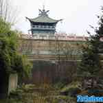 efteling-08-11-2024-071.jpg