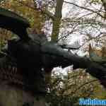 efteling-08-11-2024-088.jpg