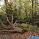 efteling-08-11-2024-089.jpg