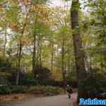 efteling-08-11-2024-092.jpg