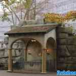efteling-08-11-2024-094.jpg