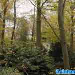 efteling-08-11-2024-099.jpg