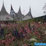 efteling-08-11-2024-106.jpg